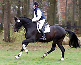 Songline v. Summertime u.d. Elitestute Schwalbenspiel v. Exclusiv