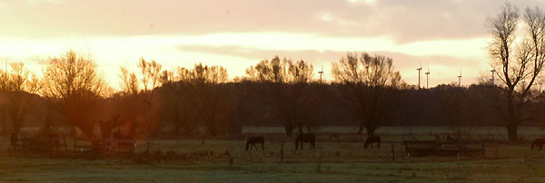 Sonnenaufgang in Schplitz, Foto: Beate Langels