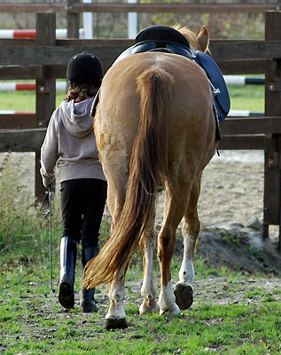 Thyra und Kara - Foto: Beate Langels