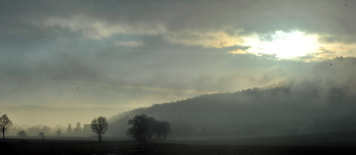 Ein Tag im Januar 2012 - Foto: Beate Langels - Trakehner Gestt Hmelschenburg