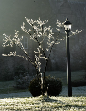 Ein Tag im Januar 2012 - Foto: Beate Langels - Trakehner Gestt Hmelschenburg