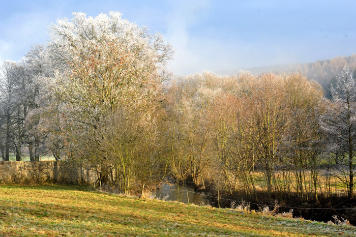 Januar 2012 - Foto: Beate Langels - Trakehner Gestt Hmelschenburg