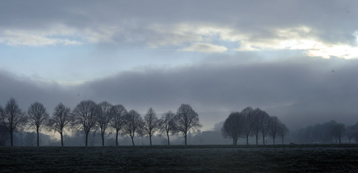 Ein Tag im Januar 2012 - Foto: Beate Langels - Trakehner Gestt Hmelschenburg