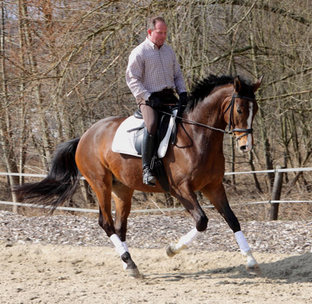 Galileo von Exclusiv - Maestro - Kostolany - Karon, Foto: Dietmar Habert