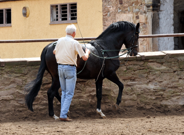 Otto Langels und Saint Cyr von Kostolany x Exclusiv - copyright Beate Langels, Trakehner Gestt Hmelschenburg