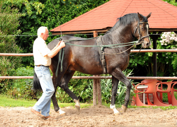 Otto Langels und Saint Cyr von Kostolany x Exclusiv - copyright Beate Langels, Trakehner Gestt Hmelschenburg
