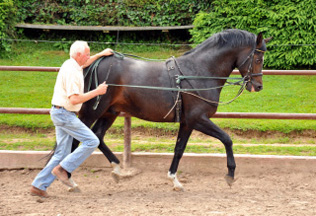 Otto Langels und Saint Cyr von Kostolany x Exclusiv - copyright Beate Langels, Trakehner Gestt Hmelschenburg