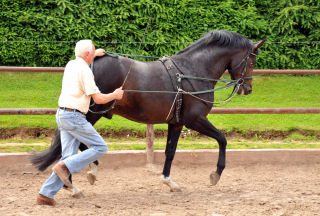 Otto Langels und Saint Cyr von Kostolany x Exclusiv - copyright Beate Langels, Trakehner Gestt Hmelschenburg