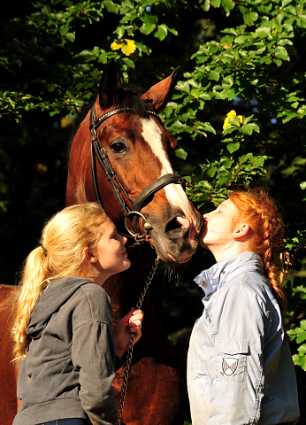 Freudenfest v. Tolstoi - Foto: Beate Langels - Trakehner Gestt Hmelschenburg