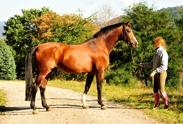 Freudenfest v. Tolstoi - Foto: Beate Langels - Trakehner Gestt Hmelschenburg