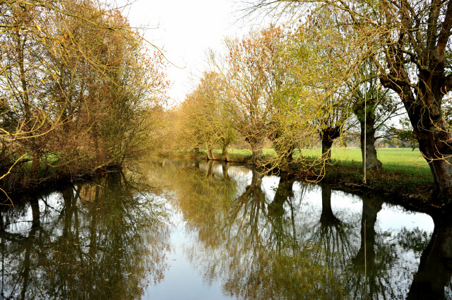 Die Emmer bei Hmelschenburg im November 2013, Foto: Beate Langels, Trakehner Gestt Hmelschenburg - Beate Langels