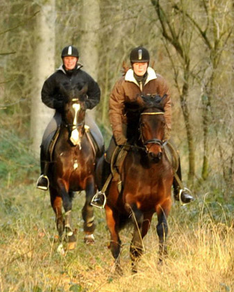 Ausritt im Januar 2012: Hirtenglanz und Shavalou - Foto: Beate Langels - Trakehner Gestt Hmelschenburg