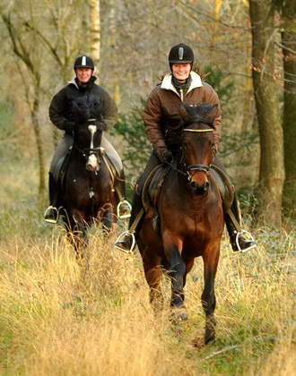 Ausritt im Januar 2012: Hirtenglanz und Shavalou - Foto: Beate Langels - Trakehner Gestt Hmelschenburg