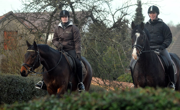 Ausritt im Januar 2012: Hirtenglanz und Shavalou - Foto: Beate Langels - Trakehner Gestt Hmelschenburg