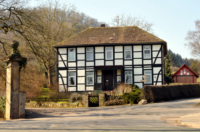 Trakehner Gestt Hmelschenburg - Beate Langels