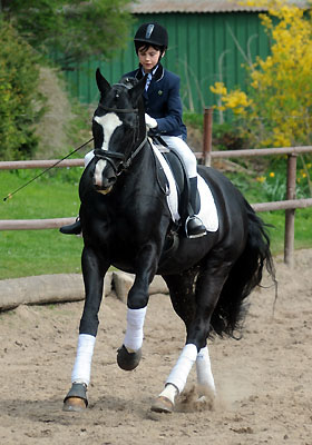 Thyra und Alter Fritz - Foto: Beate Langels - Trakehner Gestt Hmelschenburg