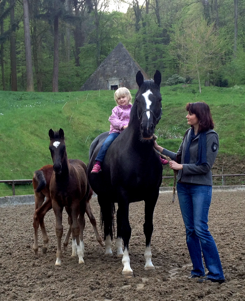 Greta Garbo und ihre beiden Fohlen von Saint Cyr - Foto: Beate Langels