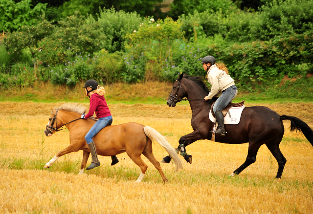 17. Juli 2016 - Trakehner Gestt  Hmelschenburg - Beate Langels