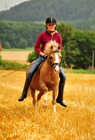 17. Juli 2016 - Trakehner Gestt  Hmelschenburg - Beate Langels