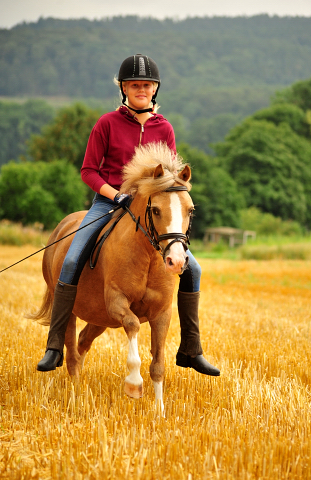 17. Juli 2016 - Trakehner Gestt  Hmelschenburg - Beate Langels