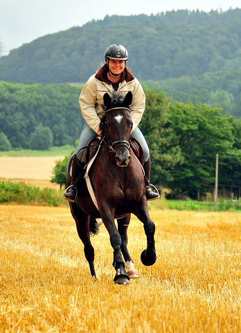 17. Juli 2016 - Trakehner Gestt  Hmelschenburg - Beate Langels