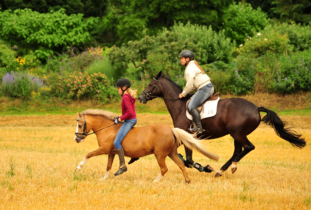 17. Juli 2016 - Trakehner Gestt  Hmelschenburg - Beate Langels