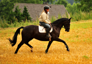 Im Juli 2016 in Hmelschenburg 2016