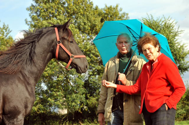 Jhrlingshengst von Saint Cyr u.d. Rubina v. Tycoon mit Jutta und Otto Langels - im September 2013, Foto: Beate Langels, Trakehner Gestt Hmelschenburg - Beate Langels
