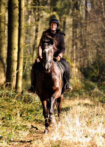 17. Februar 2016  - Foto: Beate Langels -
Trakehner Gestt Hmelschenburg