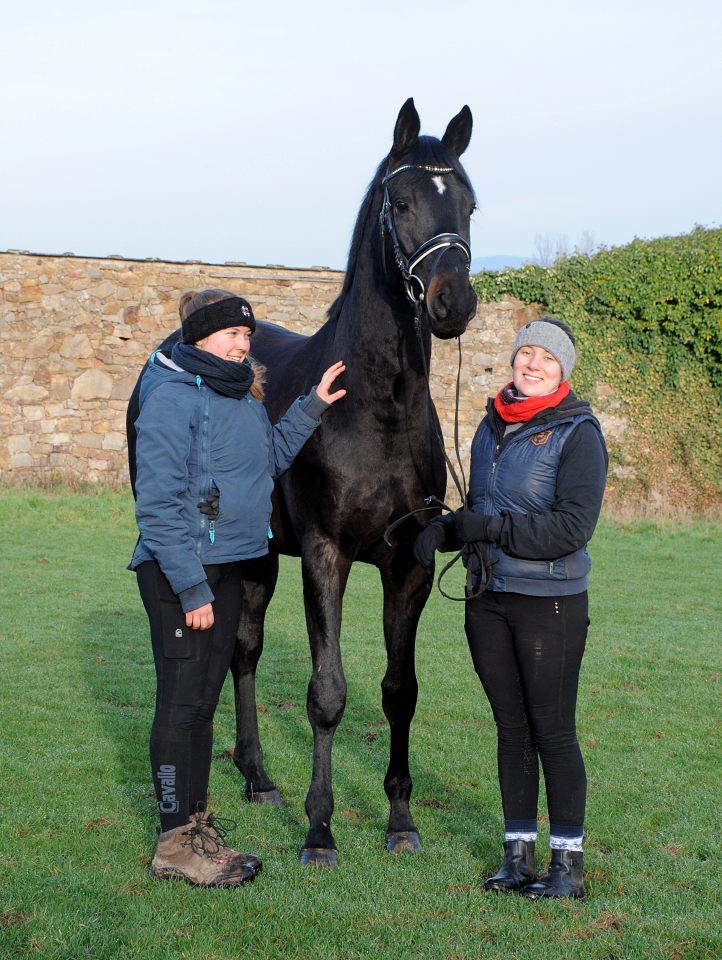 Highclere - Trakehner von Saint Cyr u.d. Hanna v. Summertime  - Foto:  Trakehner Gest t H melschenburg