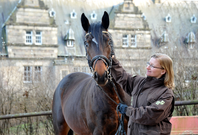 Ein- und zweijhrige Hengste und Wallache in den Emmerauen - Gestt Hmelschenburg, Foto: Beate Langels, 
Trakehner Gestt Hmelschenburg - Beate Langels