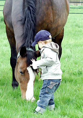 Tavolara und Jasper - Trakehner Gestt Hmelschenburg - Foto: Beate Langels