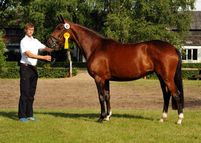 Karida von Oliver Twist u.d. Pr.u.StPrSt. Karena v. Freudenfest  - Foto: Beate Langels -  
Trakehner Gestt Hmelschenburg