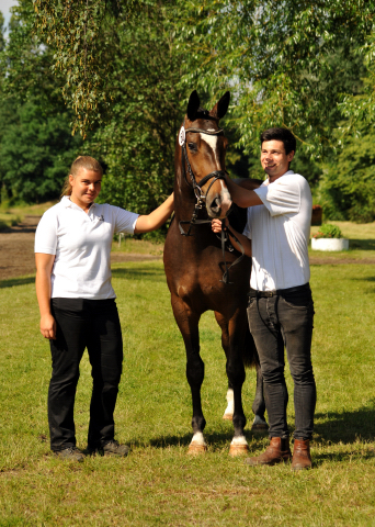 Tacyra v. Saint Cyr u.d. Pr.u.StPrSt. Tavolara v. Excusiv  - Foto: Beate Langels -  
Trakehner Gestt Hmelschenburg