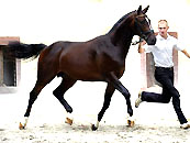 Timberlane v. Exclusiv u.d. Tabea v. Summertime