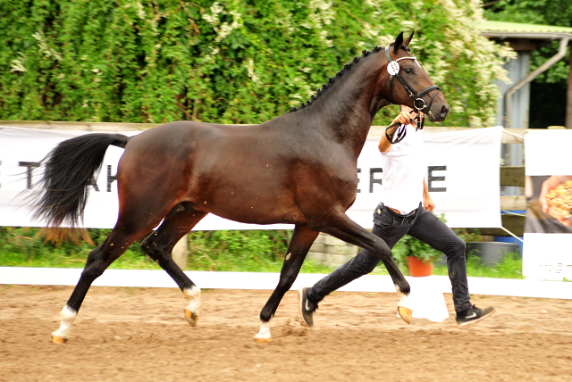 Goldwert von Le Rouge u.d. Pr. u. StPrSt. Grace Note v. Alter Fritz , Foto: Beate Langels