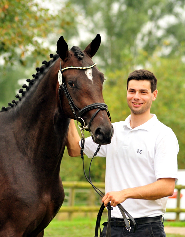 Goldwert - Hengst von Le Rouge u.d. Pr.u.StPrSt. Grace Note v. Alter Fritz, Foto: Beate Langels