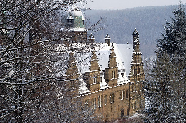 Ein Winterspaziergang am 4. Advent im Trakehner Gestt Hmelschenburg, Foto: Beate Langels