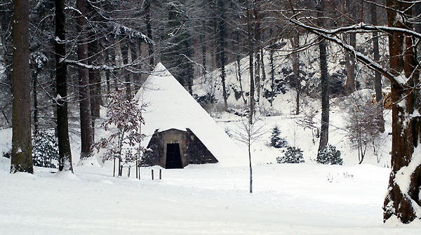 Ein Winterspaziergang am 4. Advent im Trakehner Gestt Hmelschenburg, Foto: Beate Langels