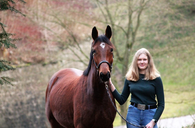 Kaarina v. High Motion - 19. Januar 2020 - Trakehner Gestt Hmelschenburg - Beate Langels - Foto Johanna Kraus