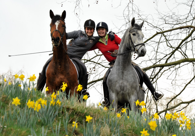 Perano und Killarney - 3jhriger Trakehner Nachwuchspferde im Gestt Hmelschenburg - Foto Beate Langels