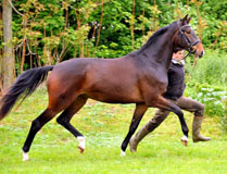 Gardema von Shavalou