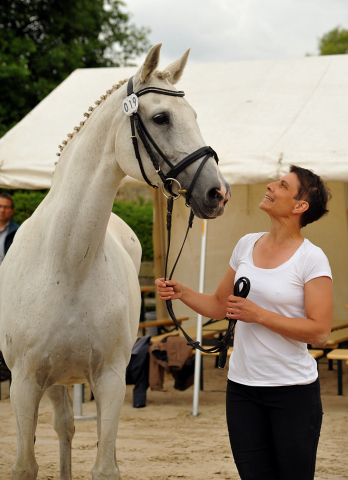 Trakehner Stutfohlen von Saint Cyr u.d. PrSt. Itanga v. Angard - Helianthus - Foto: Beate Langels