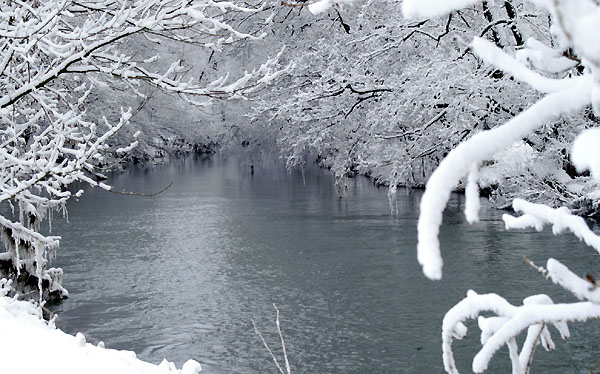 Ein Winterspaziergang am 4. Advent im Trakehner Gestt Hmelschenburg, Foto: Beate Langels