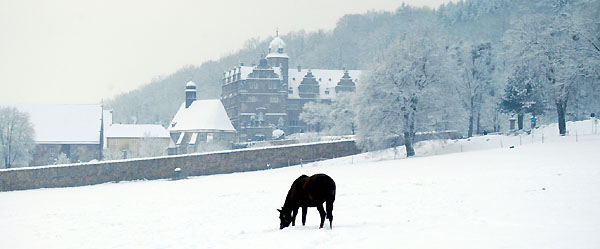 Ein Winterspaziergang am 4. Advent im Trakehner Gestt Hmelschenburg, Foto: Beate Langels