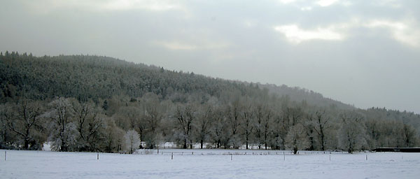 Ein Winterspaziergang am 4. Advent im Trakehner Gestt Hmelschenburg, Foto: Beate Langels