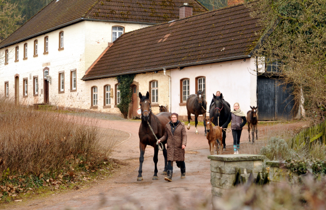 Trakehner Gestt Hmelschenburg - Beate Langels