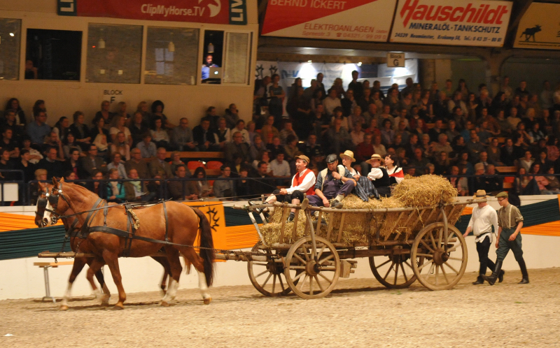 Wehlauer Pferdemarkt - Foto: Beate Langels, Trakehner Gestt Hmelschenburg
