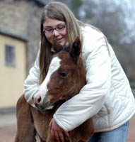 Trakehner filly by Exclusiv out of Klassic by Freudenfest out of Kassuben by Enrico Caruso