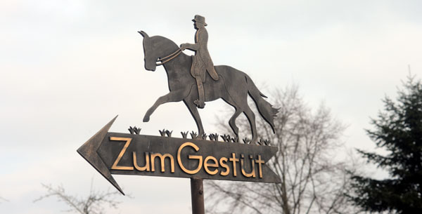 Trakehner Gestt Hmelschenburg - Foto: Beate Langels